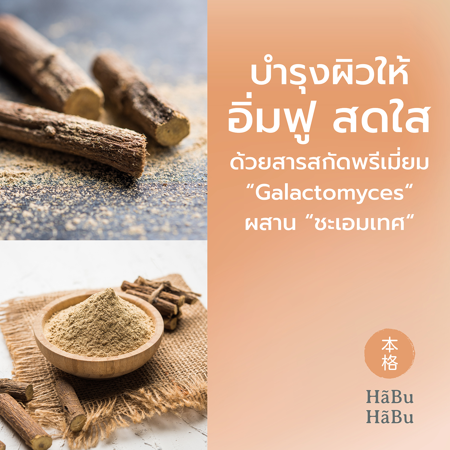 HABU-pic2000px-SUHADA