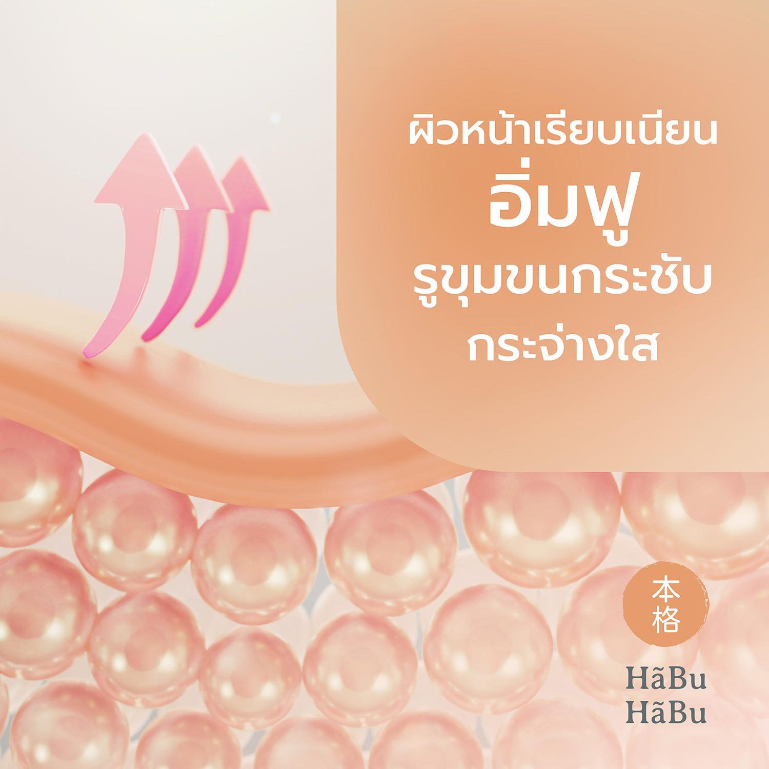 HABU-pic2000px-SUHADA