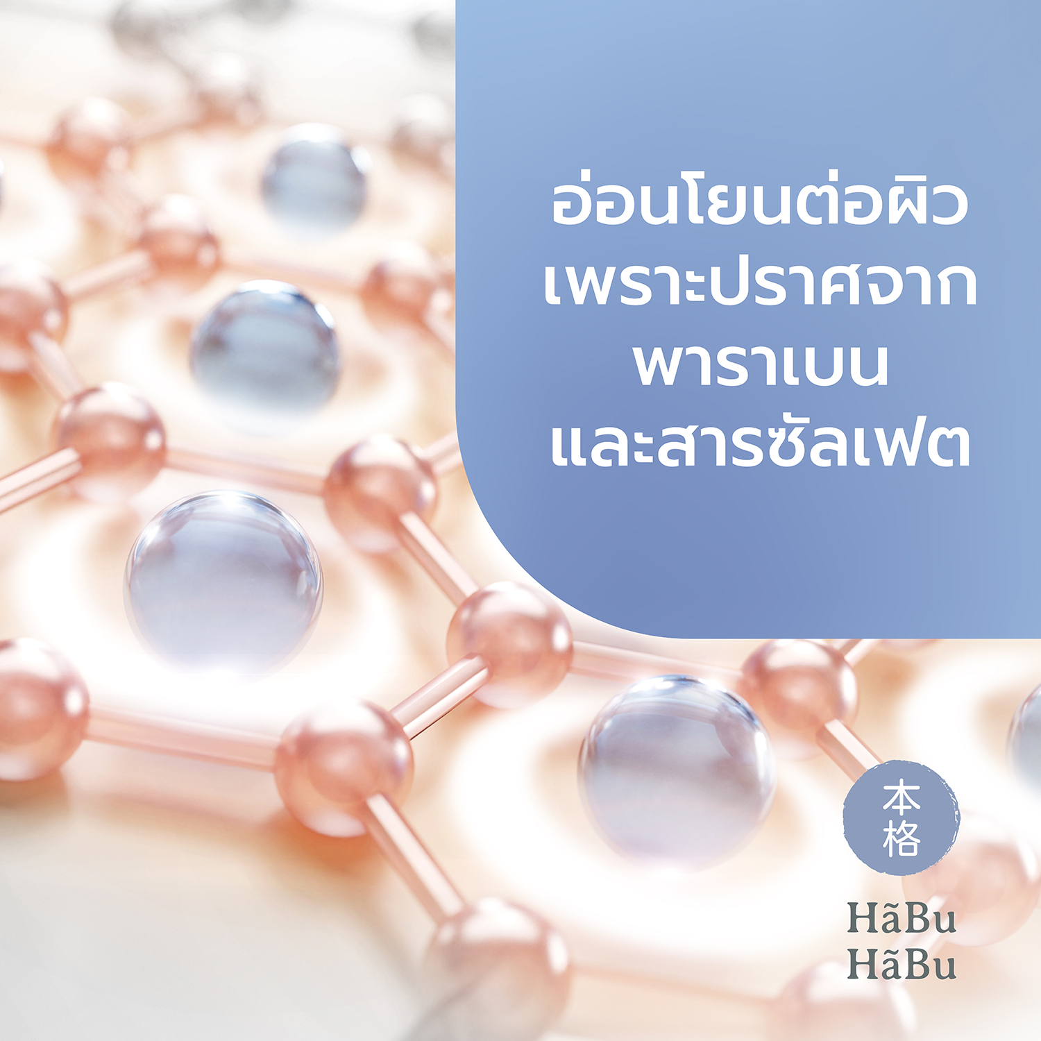 HABU-pic2000px-YUKIHADA