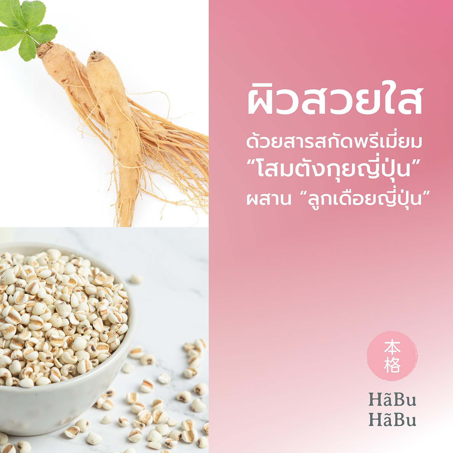 HABU-pic2000px-bihada