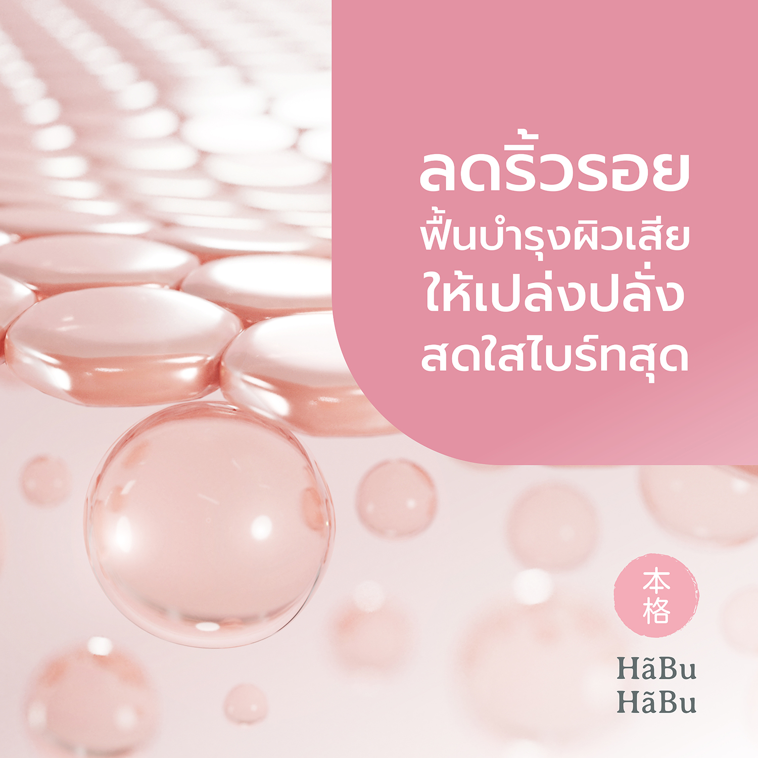 HABU-pic2000px-bihada